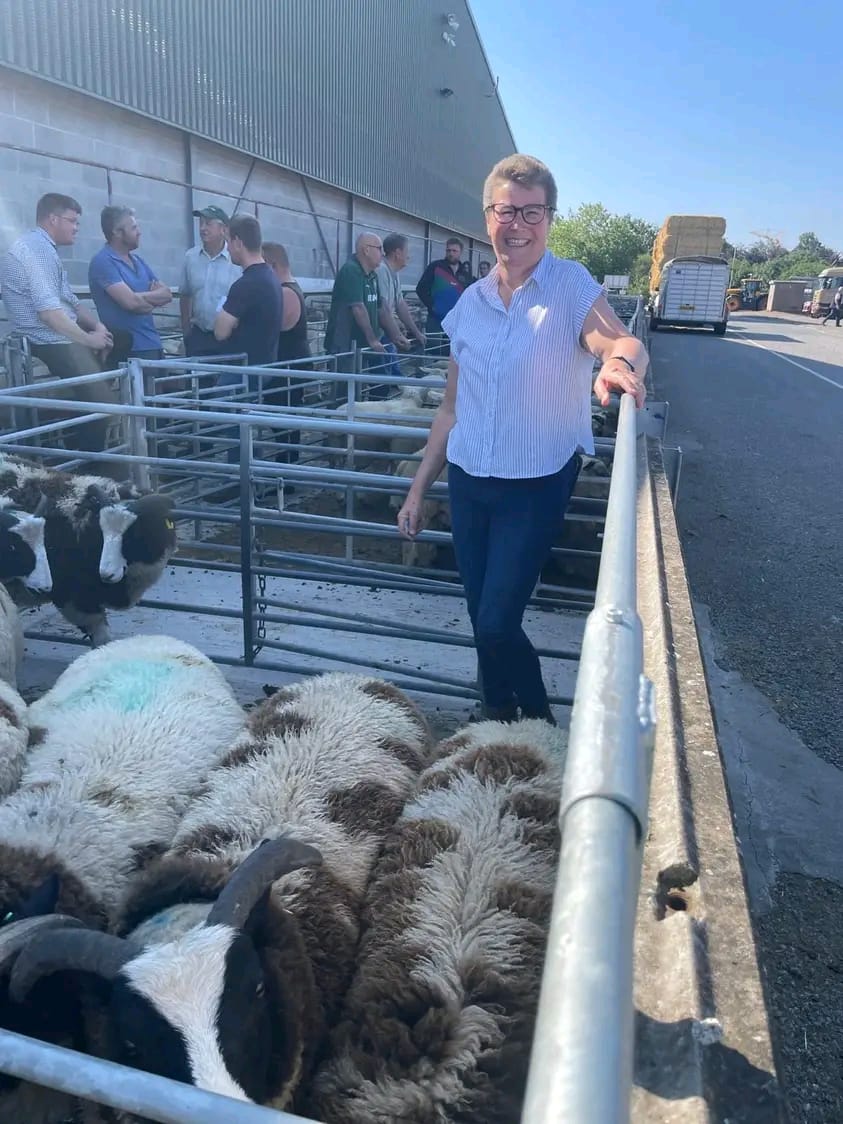 Smeaton Hall Farm at the local livestock market